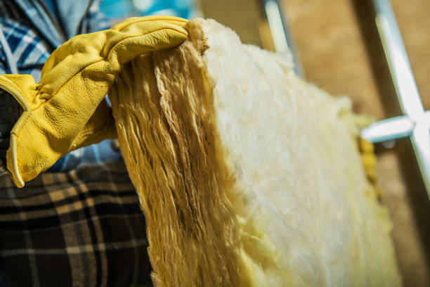 Best Spray Foam Insulation  in Anaheim, CA
