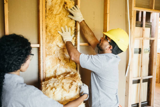 Insulation Contractors for Homes in Anaheim, CA
