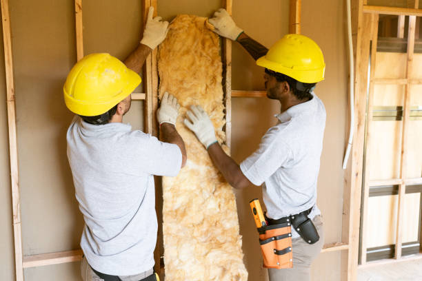 Best Insulation Removal Services  in Anaheim, CA